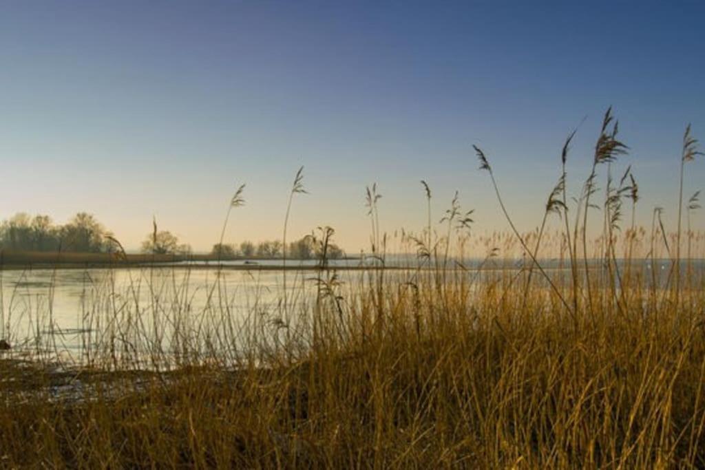 Bodensee Apartments, Sauna, Lake Walks, Free Parking, Self Checkin, Nature Reserve, Restaurants Nearby Gaissau  ภายนอก รูปภาพ