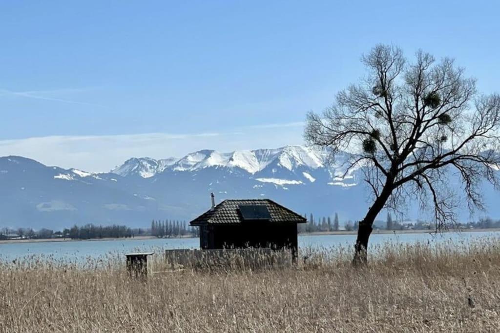 Bodensee Apartments, Sauna, Lake Walks, Free Parking, Self Checkin, Nature Reserve, Restaurants Nearby Gaissau  ภายนอก รูปภาพ